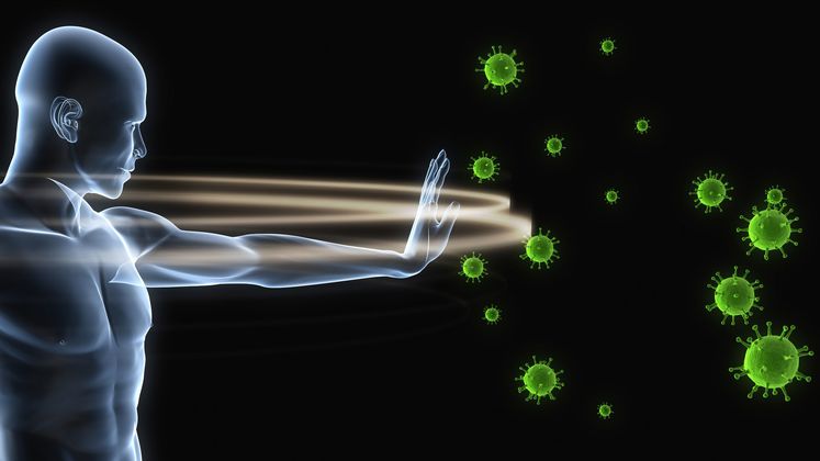 Wie kann man das Immunsystem stärken und eine Virusinfektion vorbeugen?